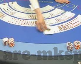 森林舞会手游下载-体验自然韵律，尽在森林舞会手游下载