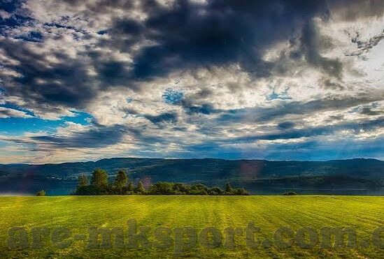 188即时足球比分直播-探秘188即时足球比分直播，球迷的掌中宝与观赛新体验